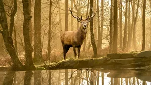Healthy authority & self-correction